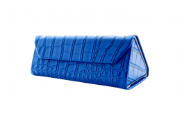 Exclusive Case
