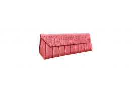 Exclusive Case